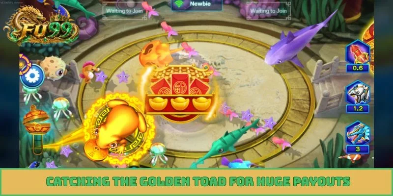 Catching the golden toad for huge payouts
