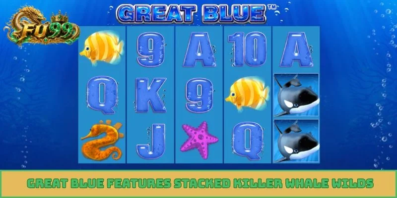 Great Blue features stacked killer whale wilds